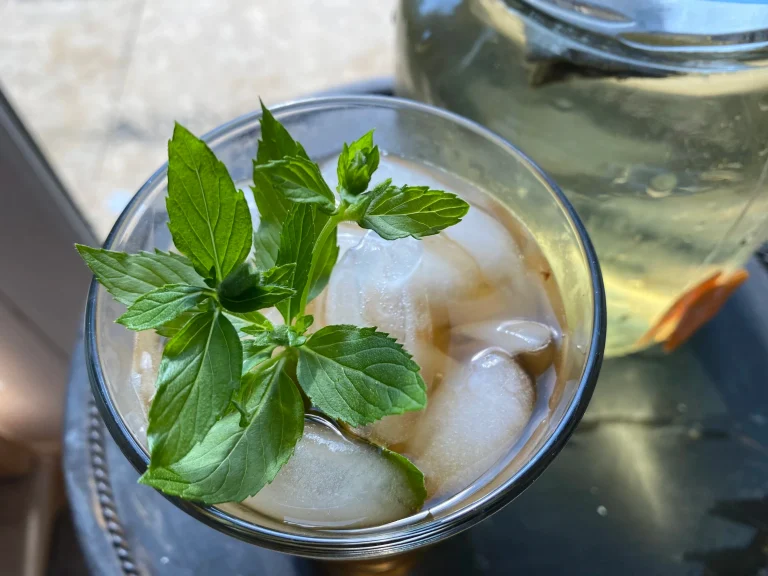 10 Best Herbal Sun Tea Recipes for Summer to Stay Cool and Hydrated Herbal Sun Tea Recipes